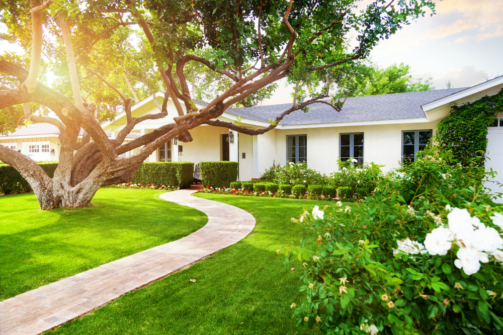Tips for Homeowners to Maintain a Healthy Lawn During a Drought