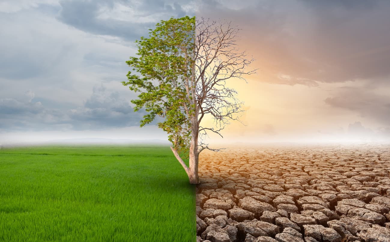 Humid and Desert Pests: Curb Your Climate’s Critter