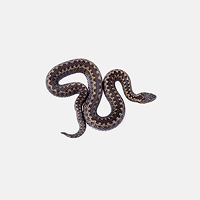 Snakes