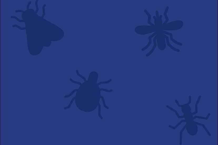 Arrow Exterminators, Parent Company of Nader’s Pest Raiders, Announces the Strategic Acquisition of River City Termite & Pest Control in Baton Rouge, LA