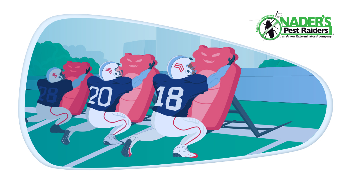 Nader's Pest Raiders Termite & Pest Control for Northeast Florida